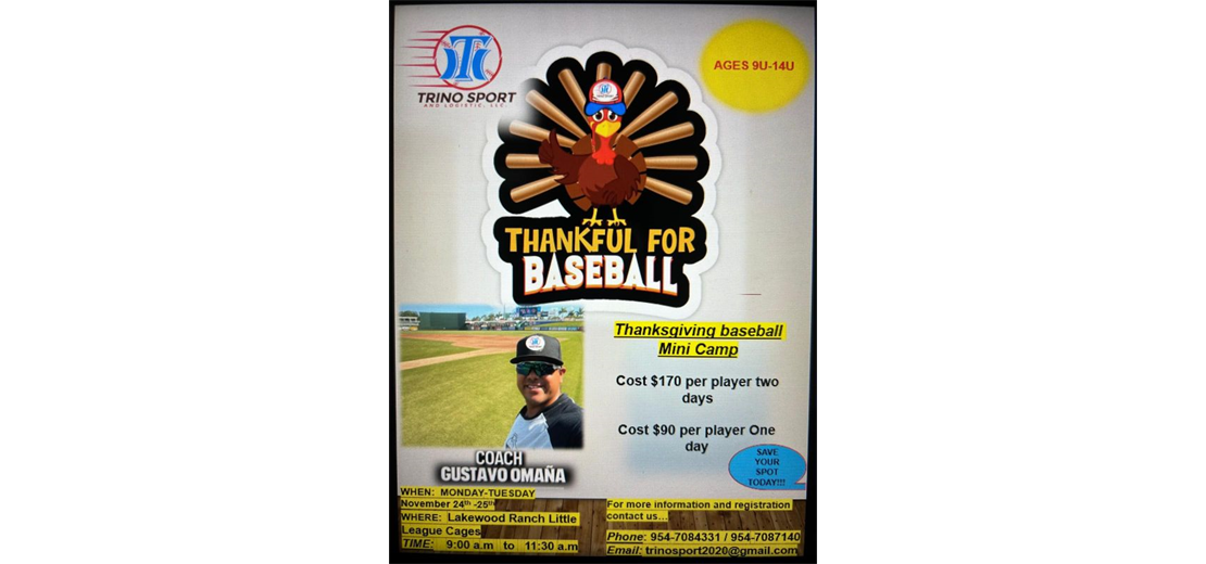 Thanksgiving Baseball Mini Camp